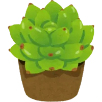 dessin d'une plante grasse